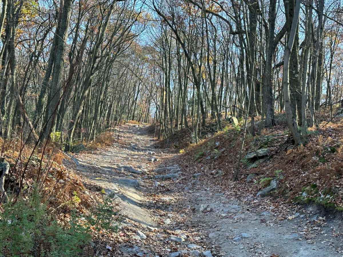 135 trail photo