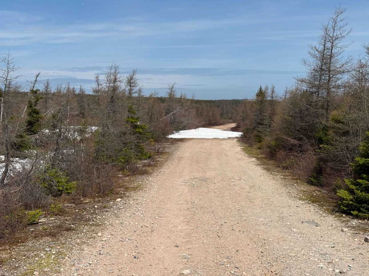 Cheticamp Flats Road photo 6