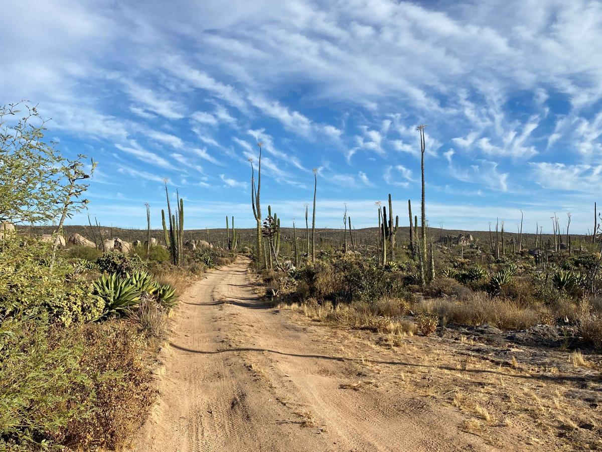 Middle North trail photo