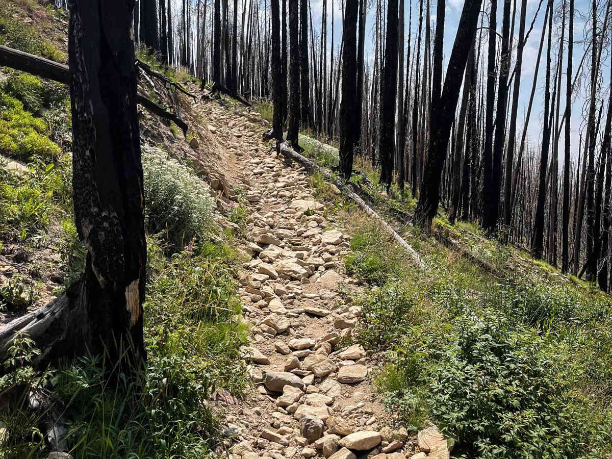 Willow Pass Trail photo 4