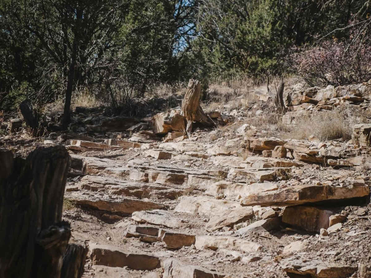 Chamisoso trail photo