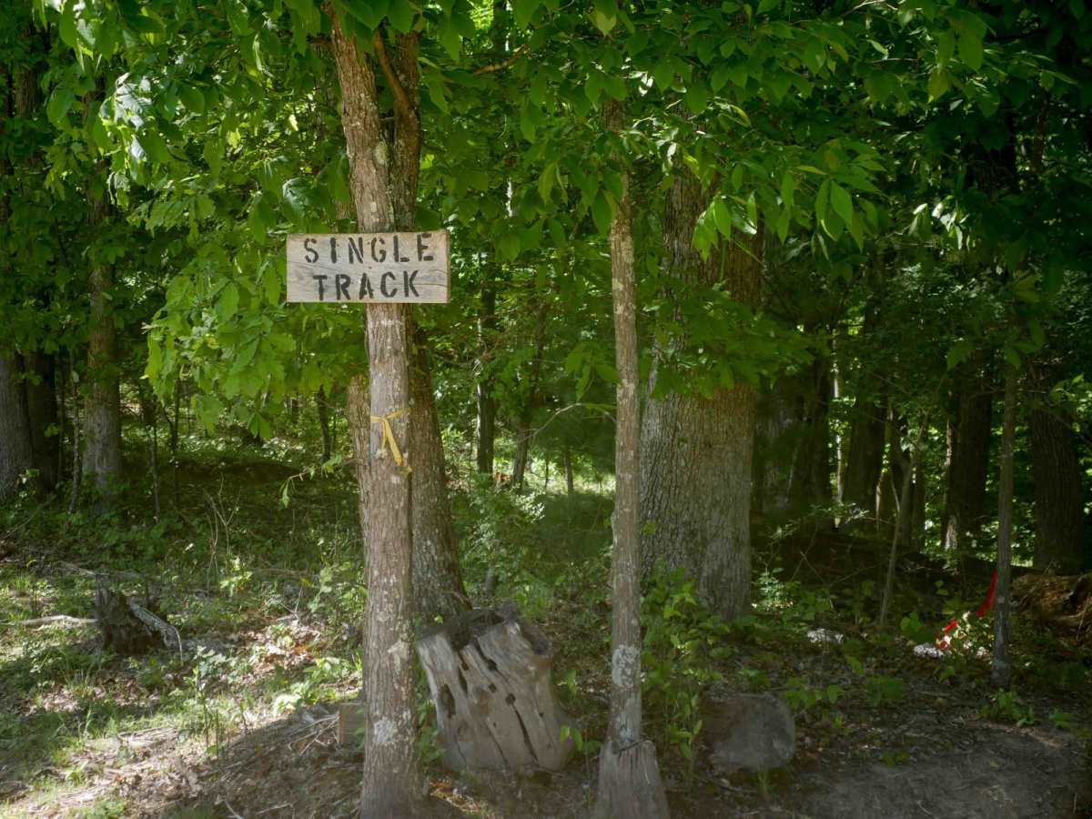 Single Track 1 trail photo