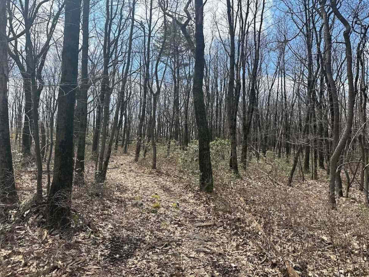 Ashland 174 trail photo