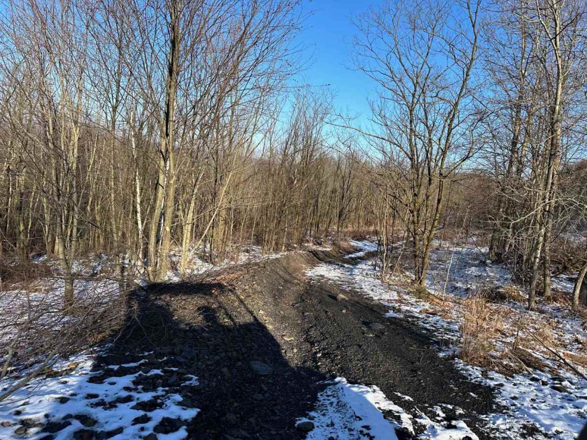Locust Gap 75 photo 4
