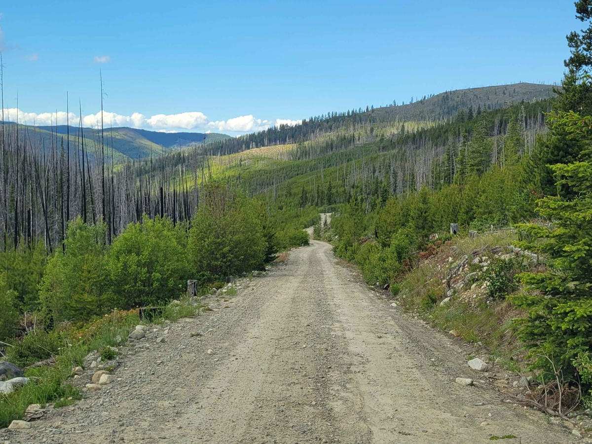 NF 39 (South) - Meadows-Toats photo 6