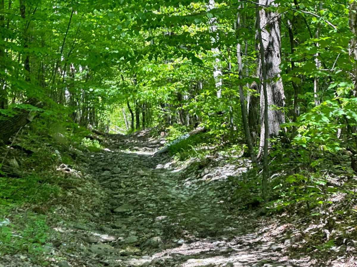 Mason Hill trail photo