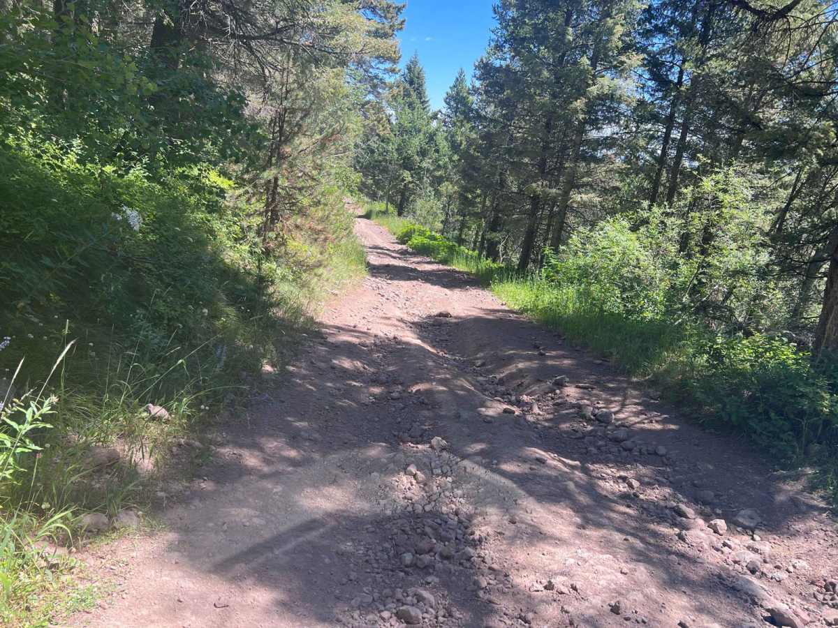 July Creek Road (20303) trail photo