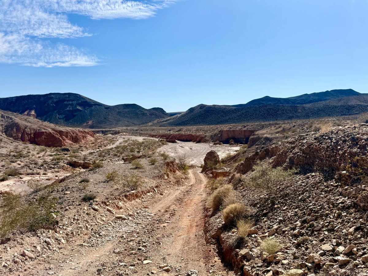 Callville Wash South 98 trail photo