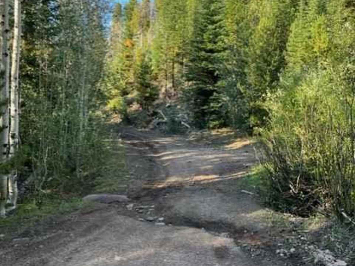 Buttar Springs Trail 7922 photo 4