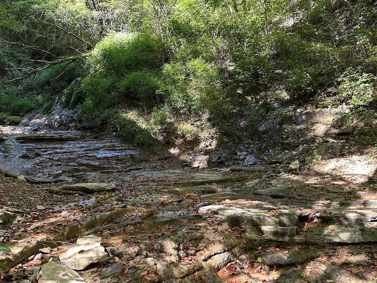 Waterfall Trail photo 3