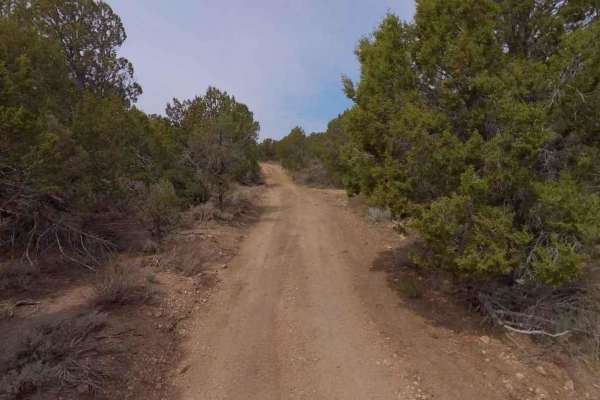 Dixie National Forest-FR31014