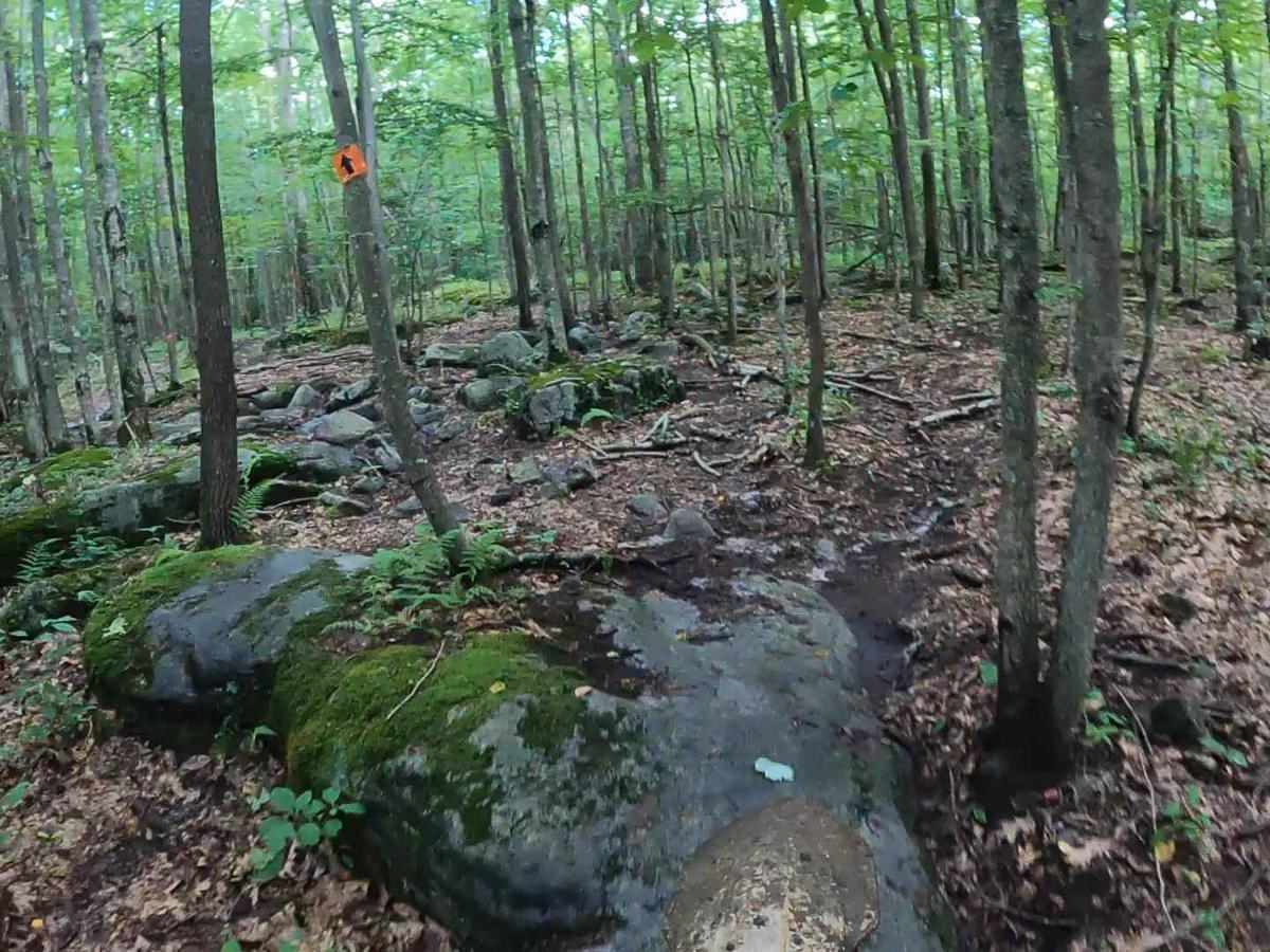 Mountain Ridge ATV Park Singletrack BB photo 4