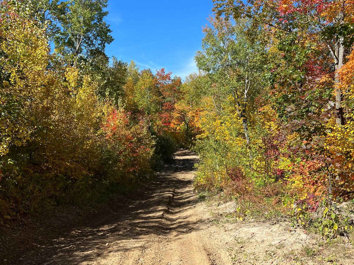 Paul Bunyan Round River Dr photo 3