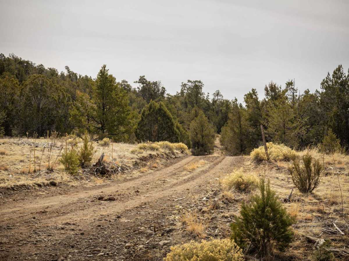 21 Tank trail photo
