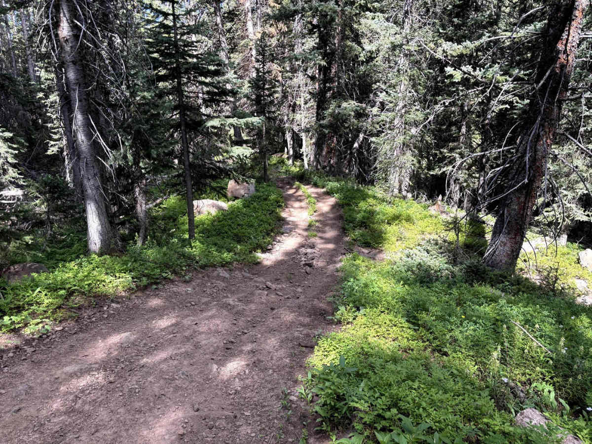 Greenwood Trail photo 5