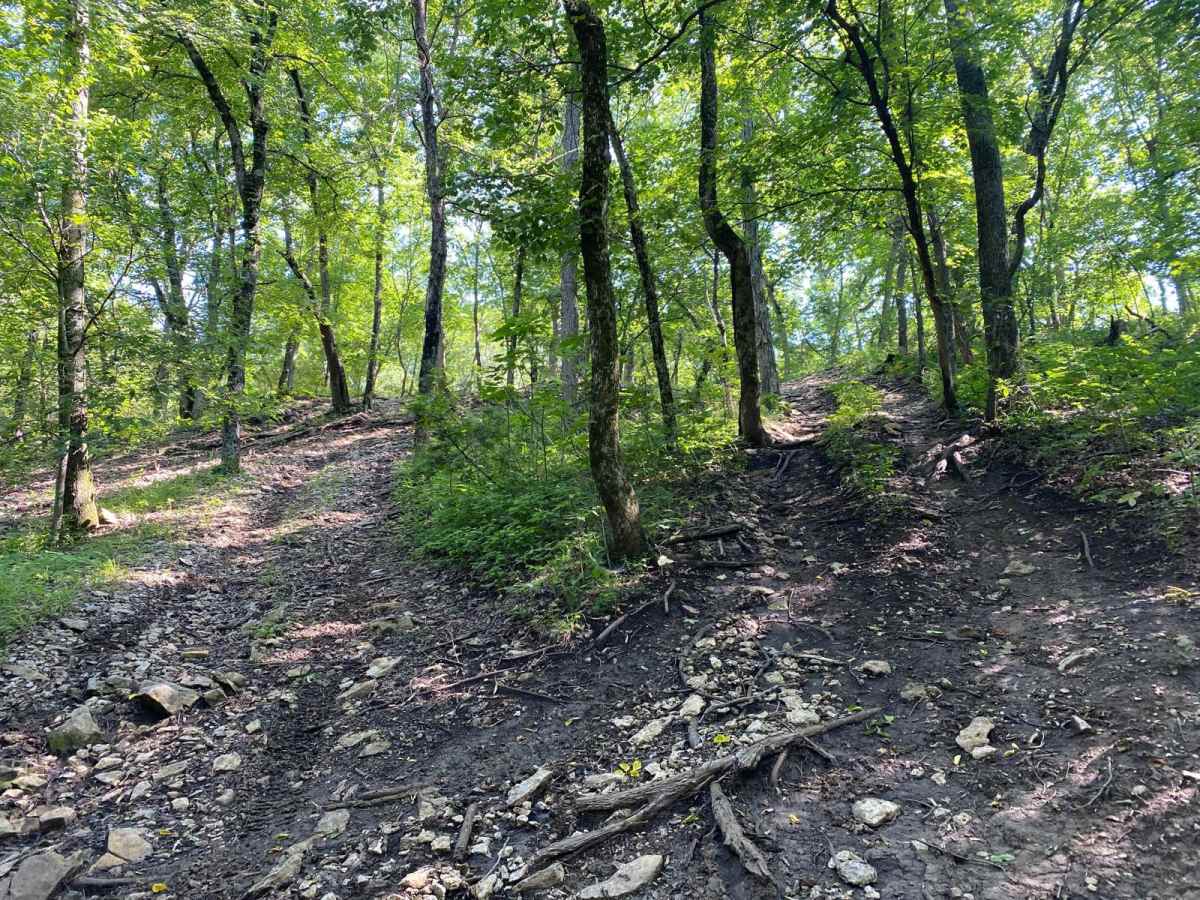 No Name Black trail photo