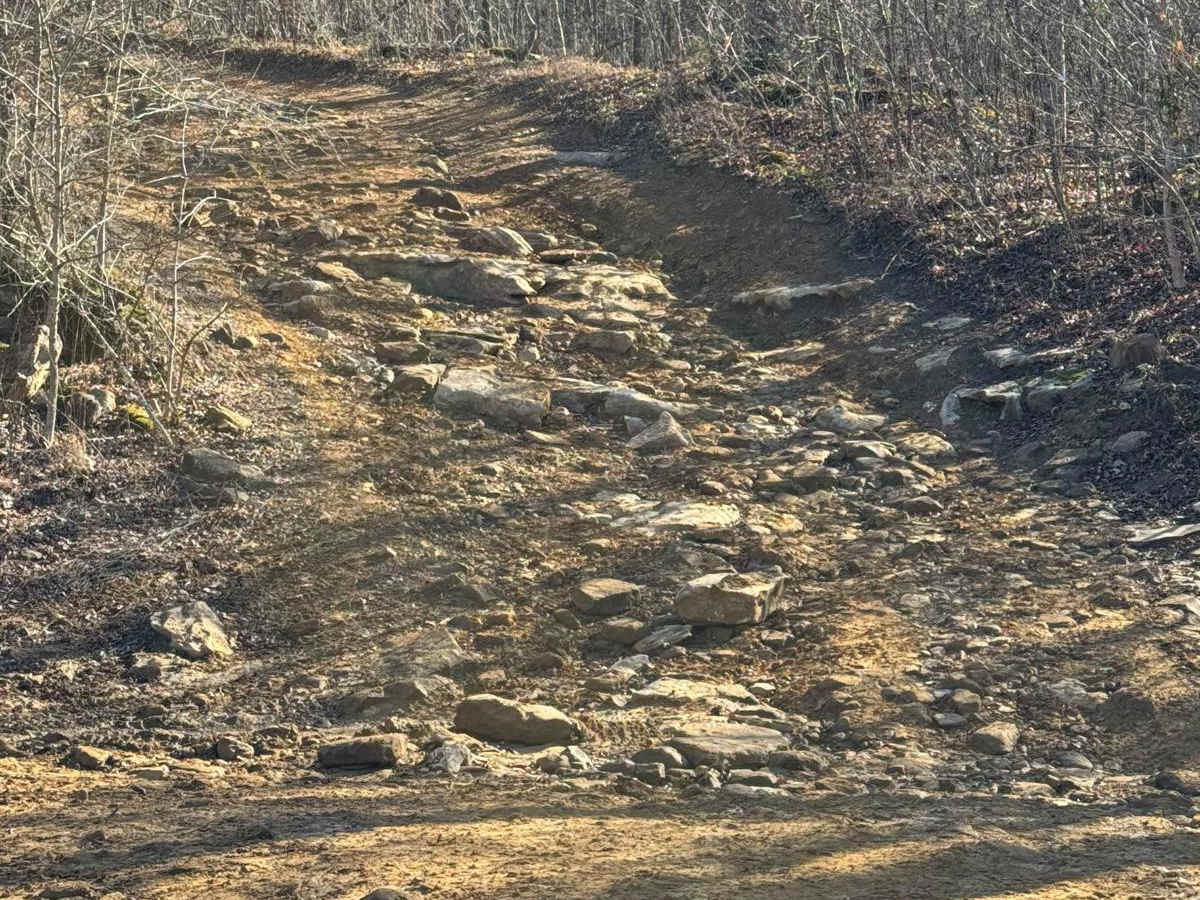 #90 Abbie's Trail trail photo