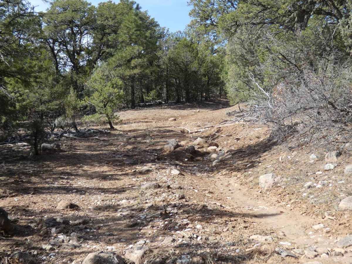 La Madera Loop FSR-222E photo 6