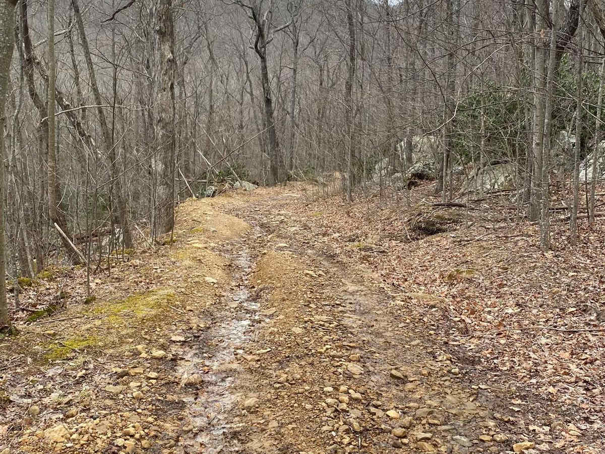 Trail 56 Windrock photo 4