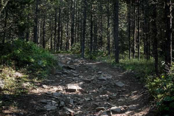 Willow Creek North ATV