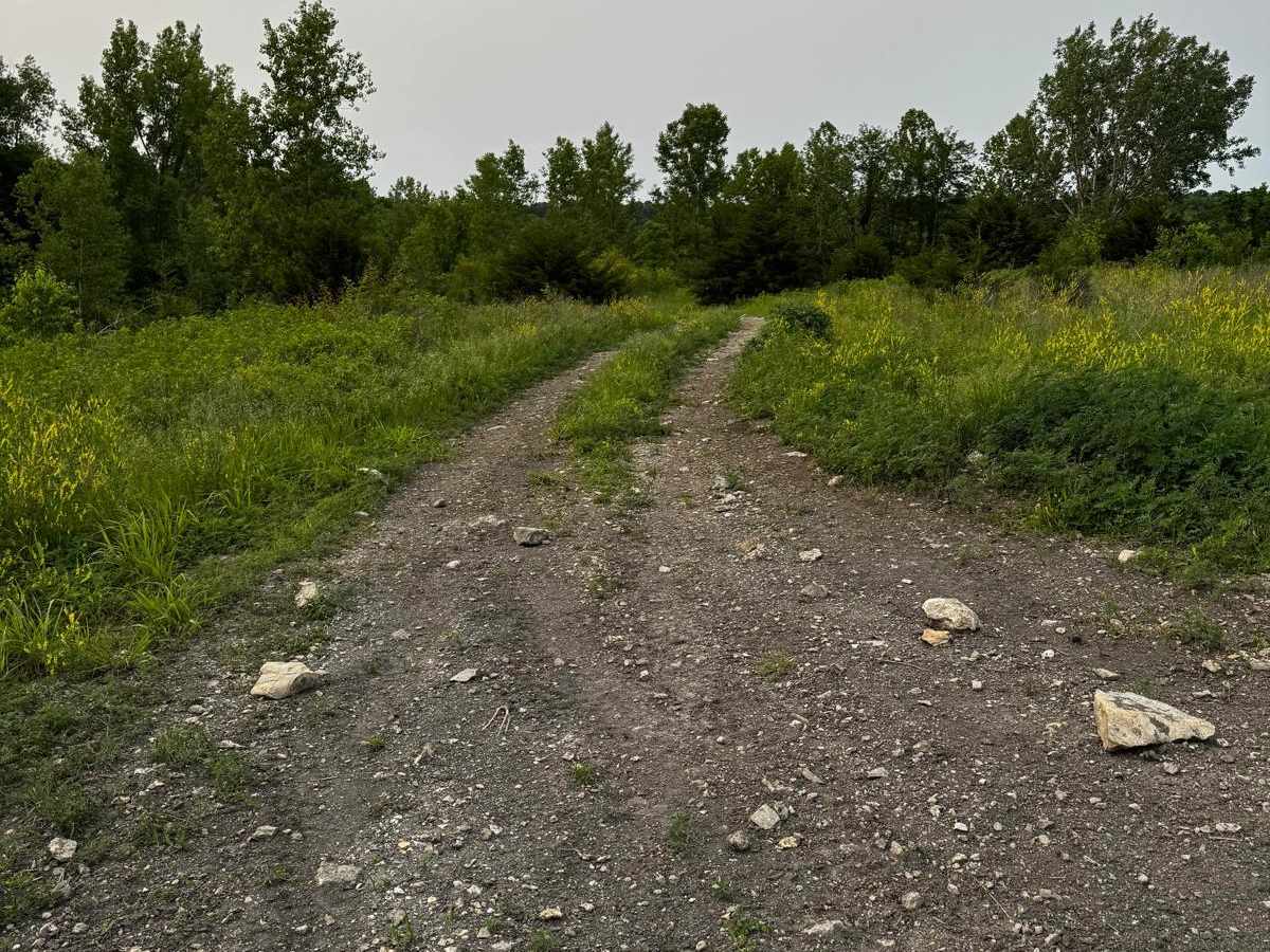 Red 39 trail photo