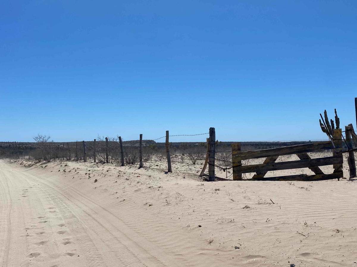 El Chaparral photo 6