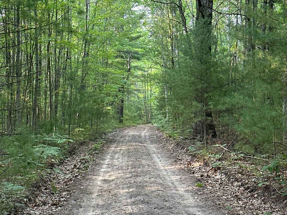 North Carmean Road Part 1 trail photo