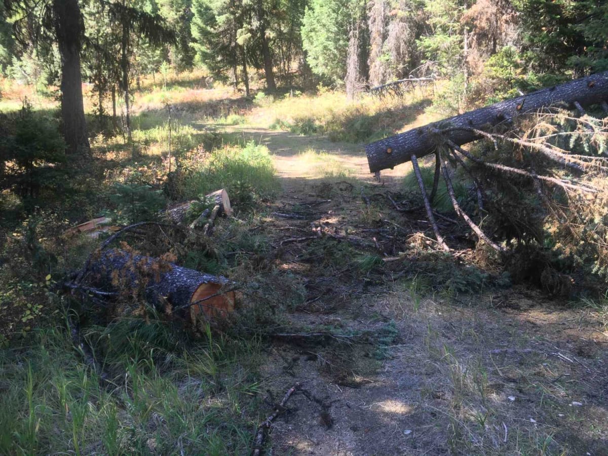 Tepee Creek Trail photo 6