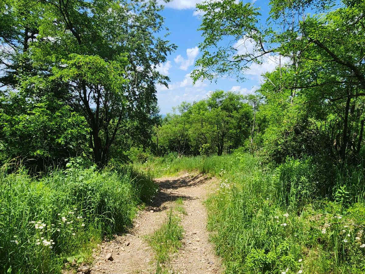 Trail 8D - Rock Run Recreation Area photo 6
