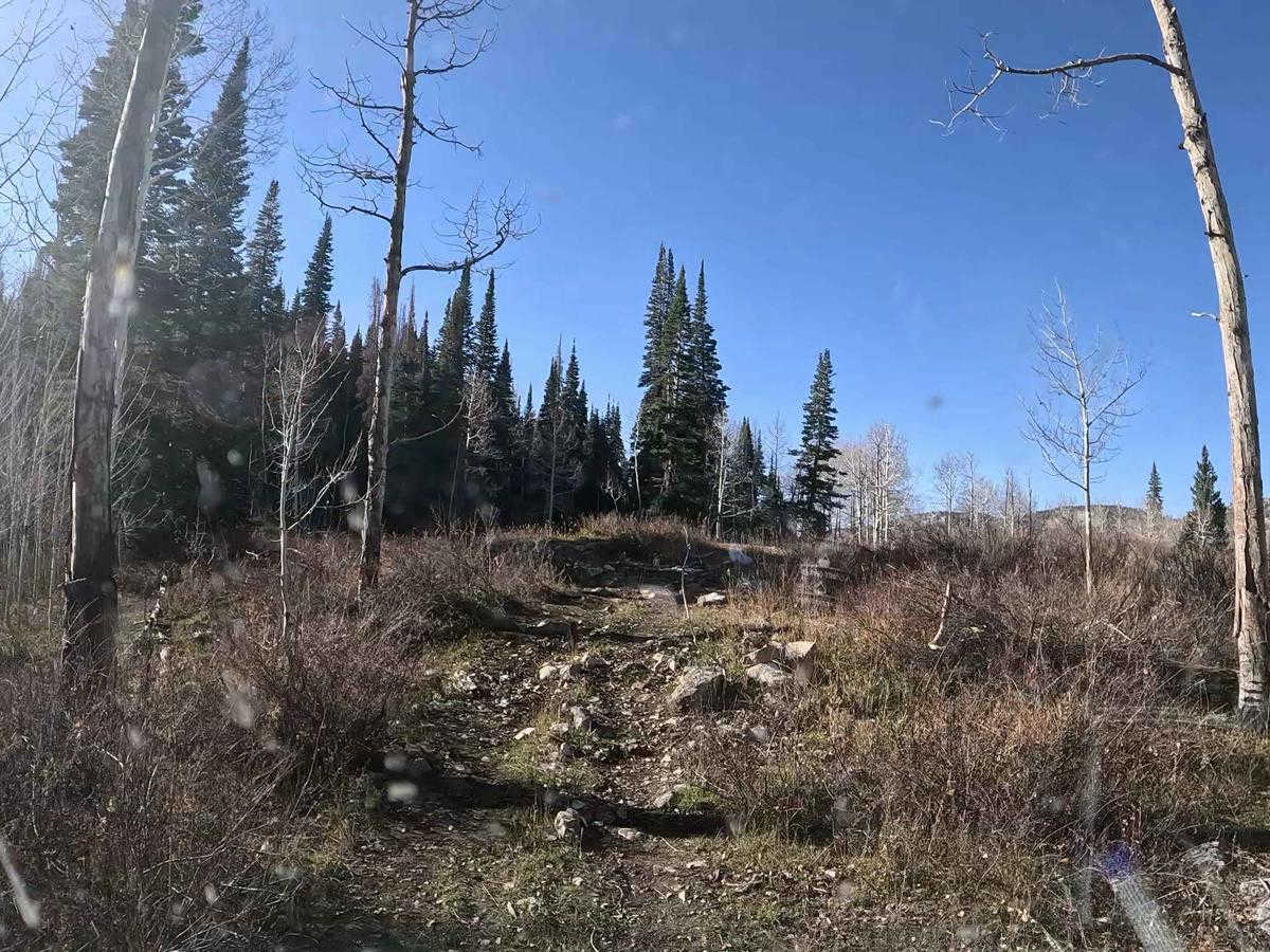 FS 51303 Six Mile Lower Pond Trail trail photo