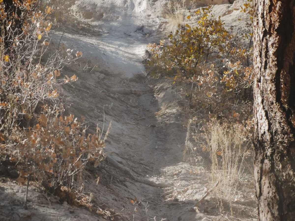 Corral Canyon photo 5