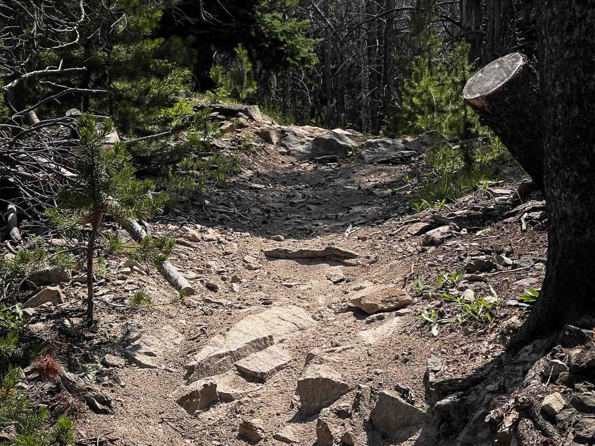 Willow Pass Trail photo 6