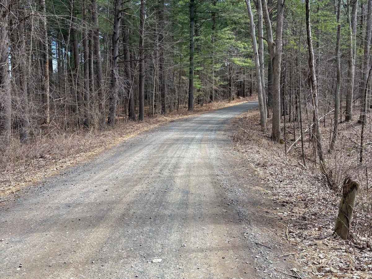Del Reeves & North Mulford Roads photo 4