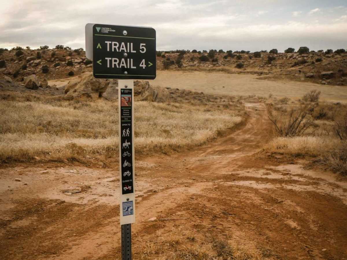 Trail 5 trail photo