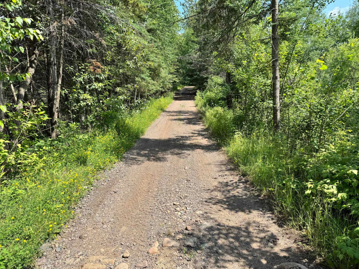 Eager Beaver Loop photo 6