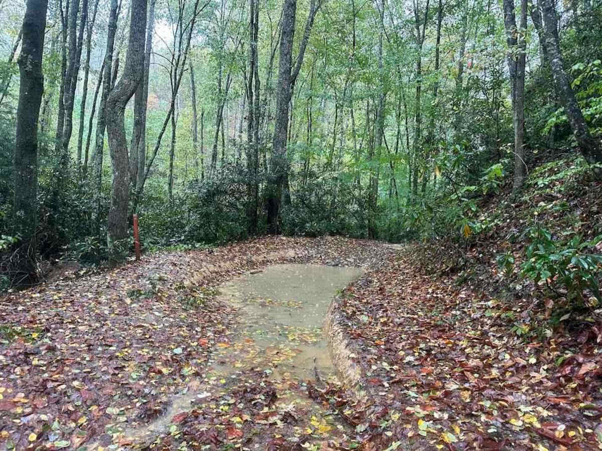 Tams Loop Green photo 3