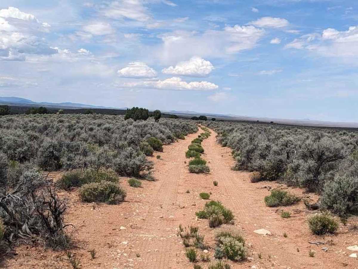 Gunsight Tank Trail - BLM183 photo 2
