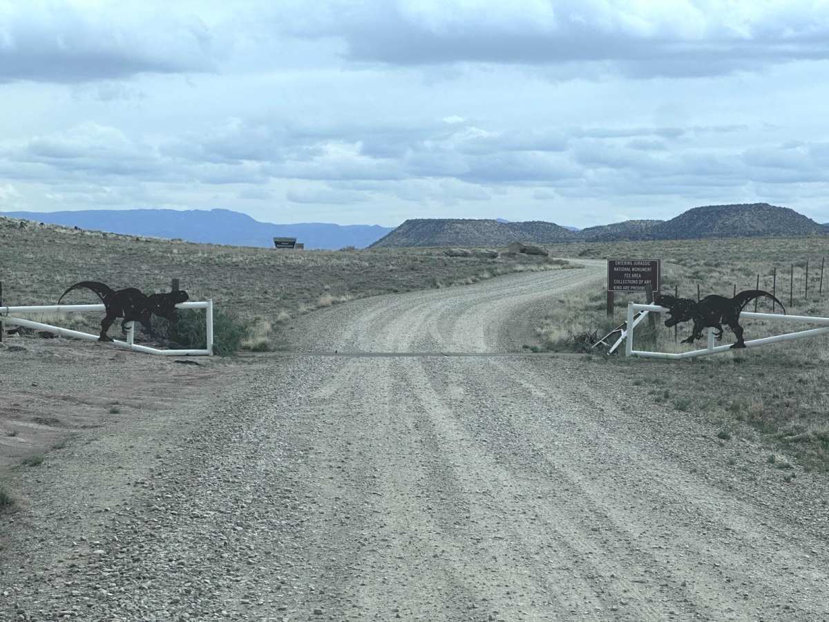 Dinosaur Quarry Road photo 3