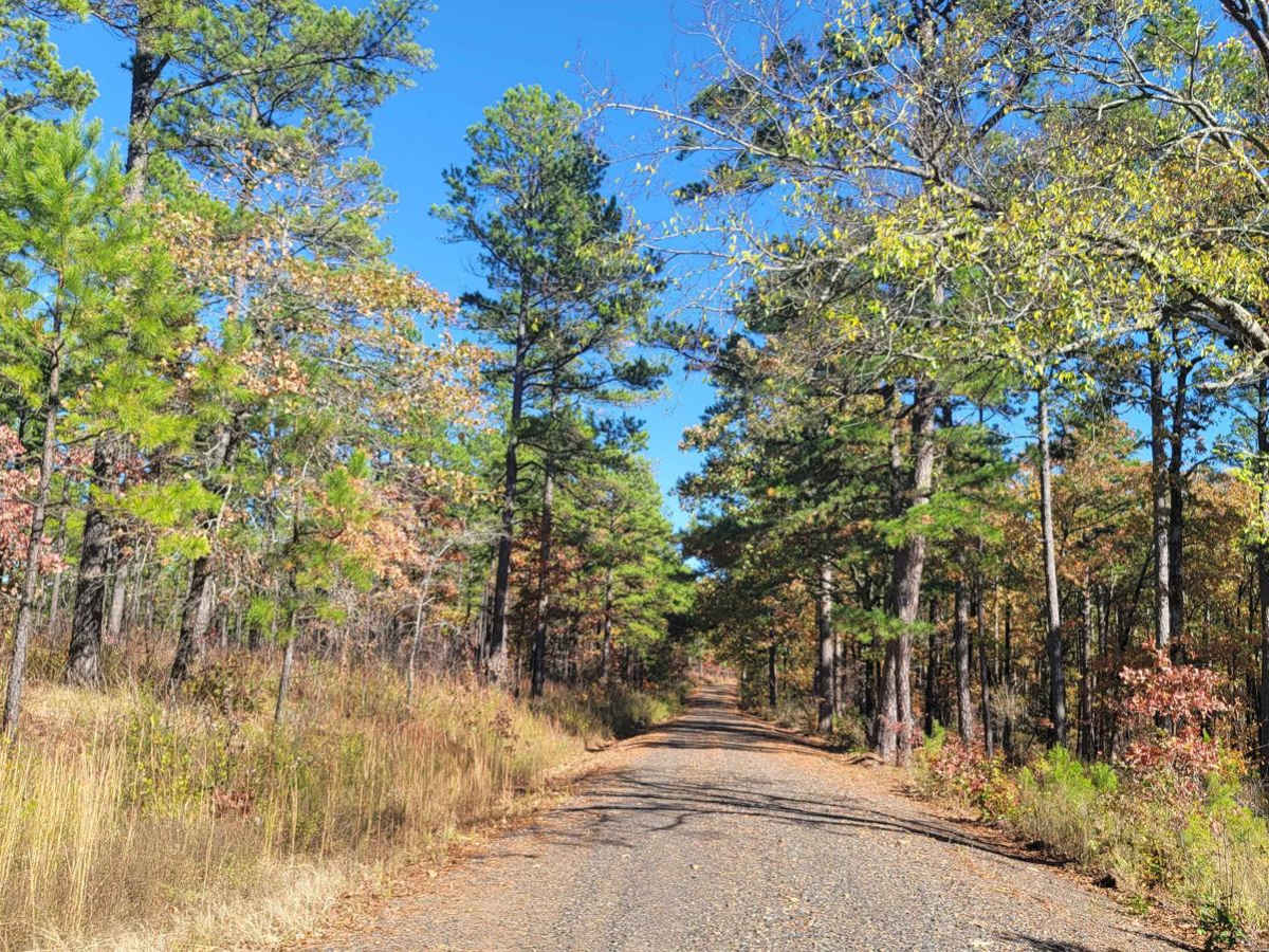 Jones Camp photo 3