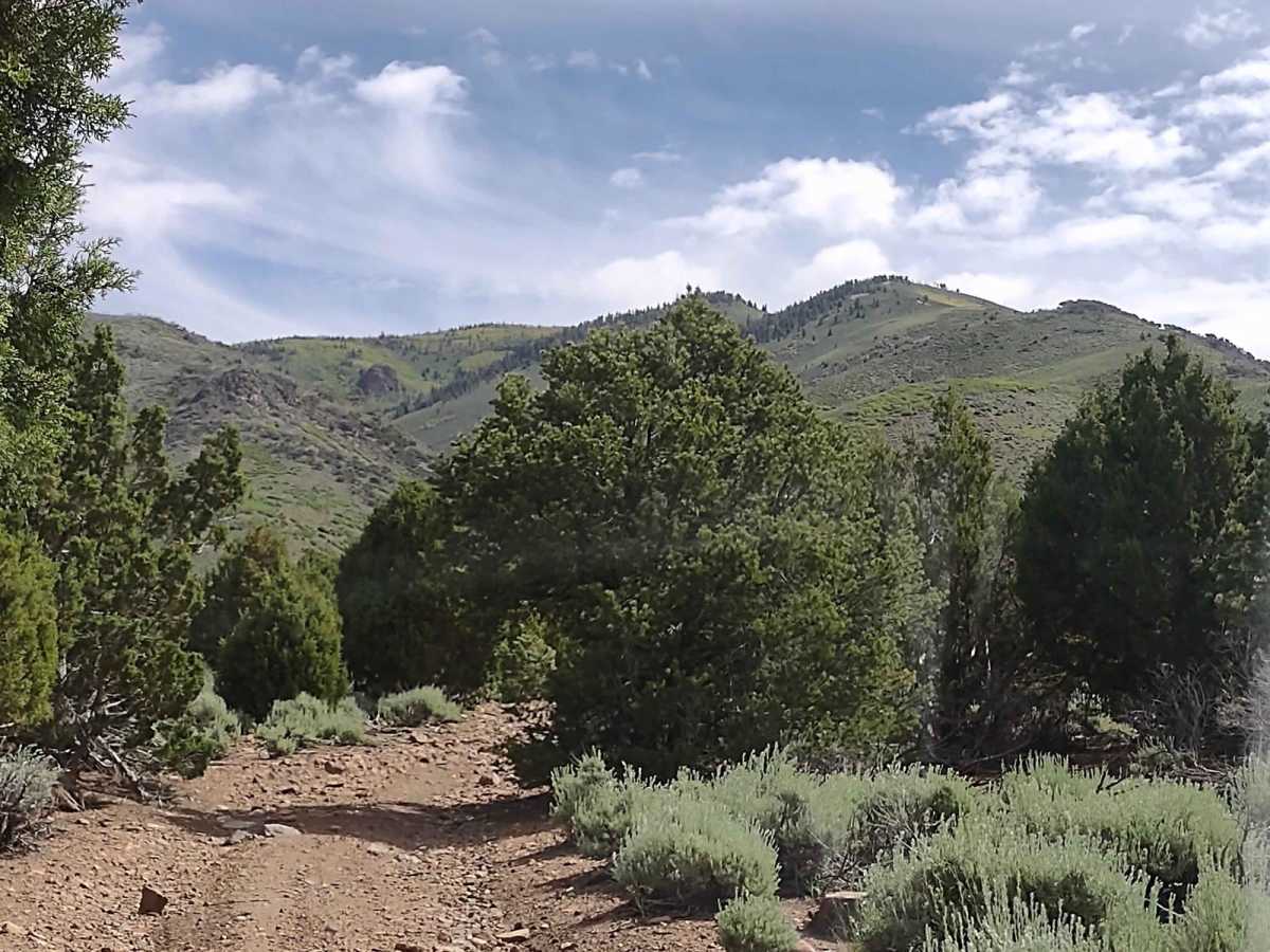 Alternate Smith Canyon Access (FS# 4923) photo 3