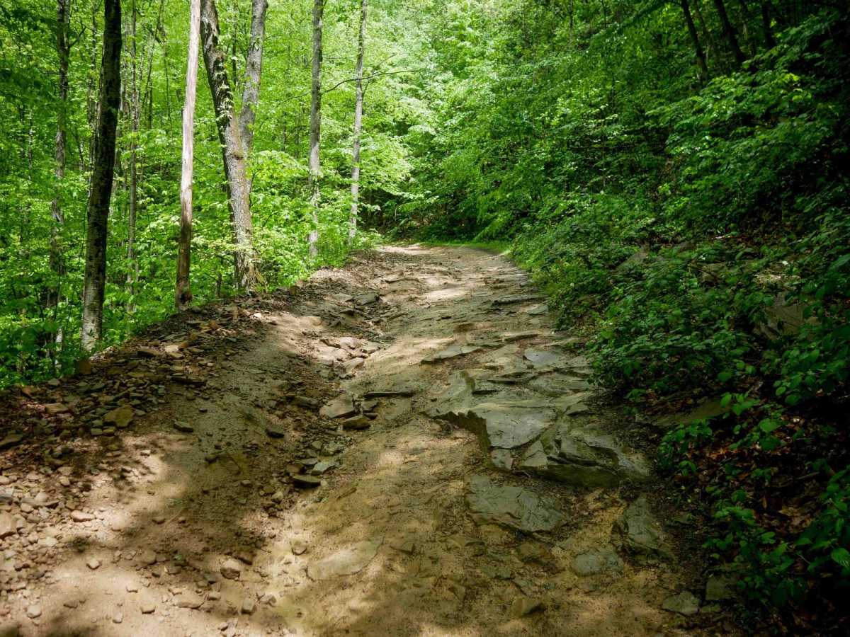 RH 18 trail photo