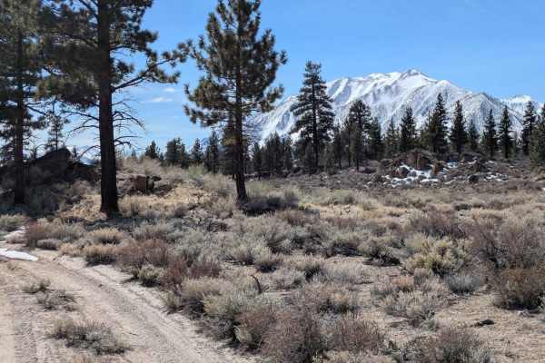 Round Mountain Cutoff - FS 4S67