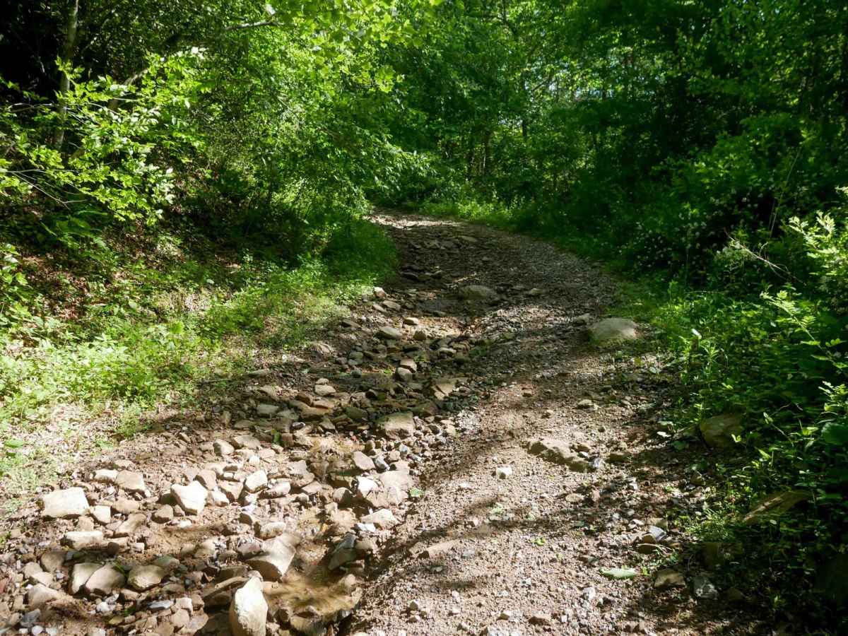 RV13 photo 2