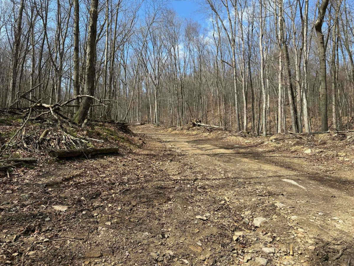 Ashland 4 trail photo