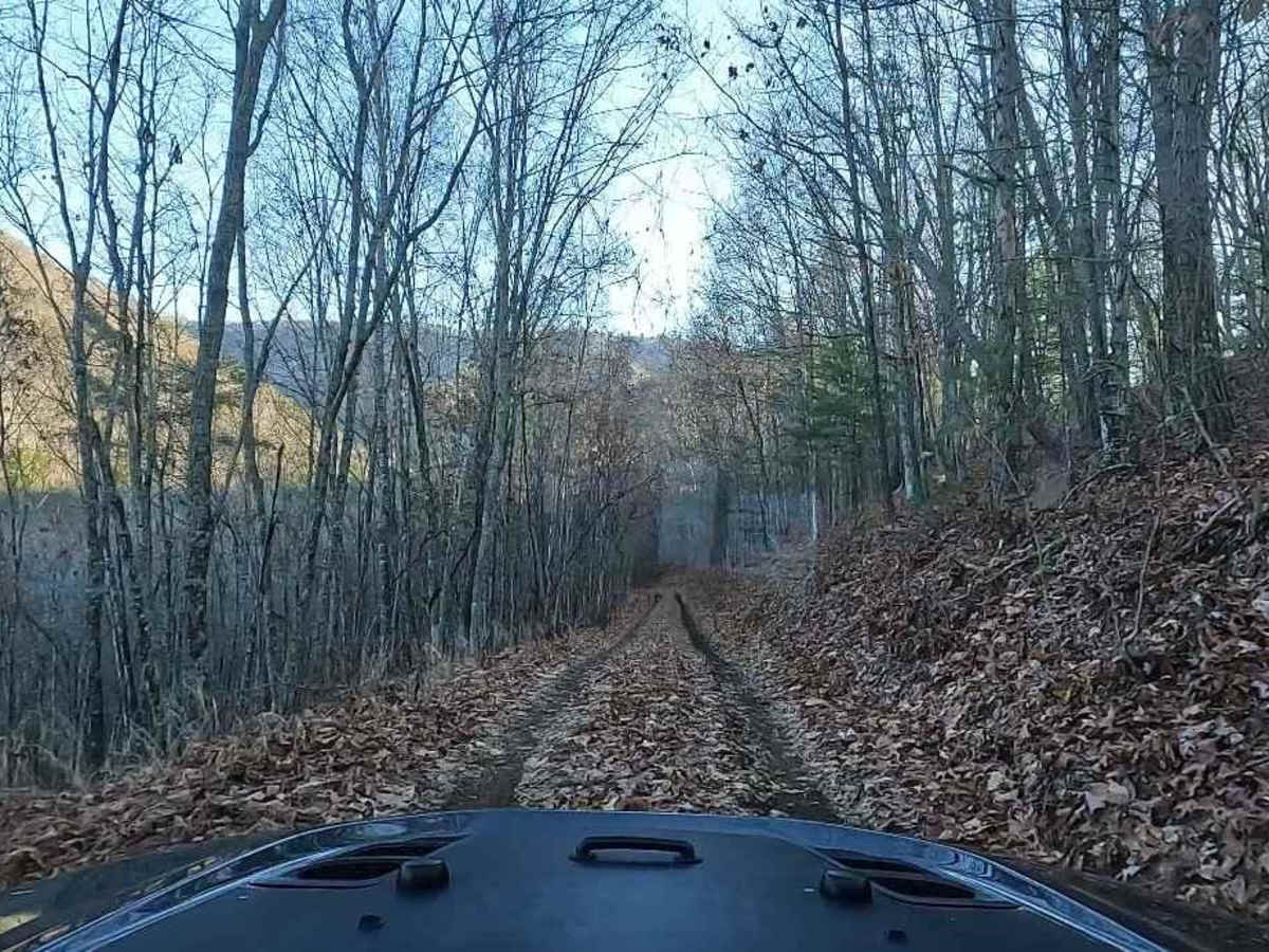 FS-395 Liberty Trail trail photo