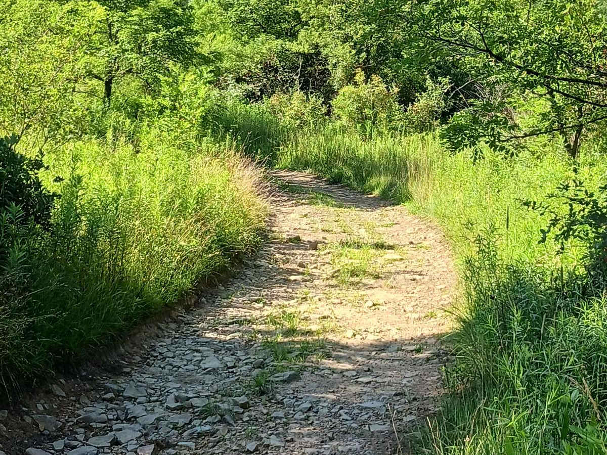 Trail 12R - Rock Run Recreation Area photo 3
