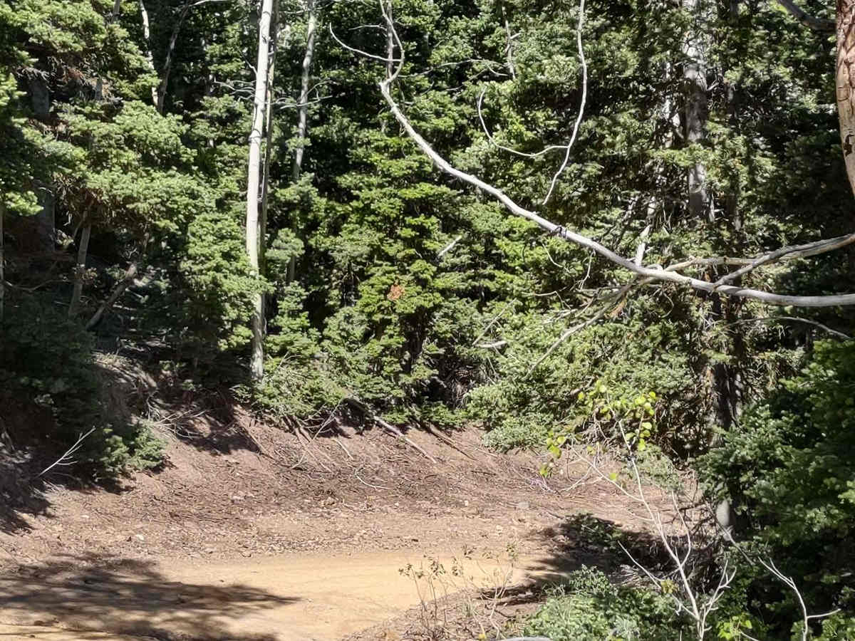 Hennessy Point photo 4