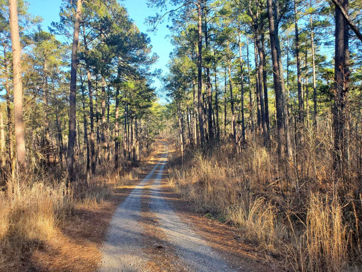 Markert Road (662) photo 3