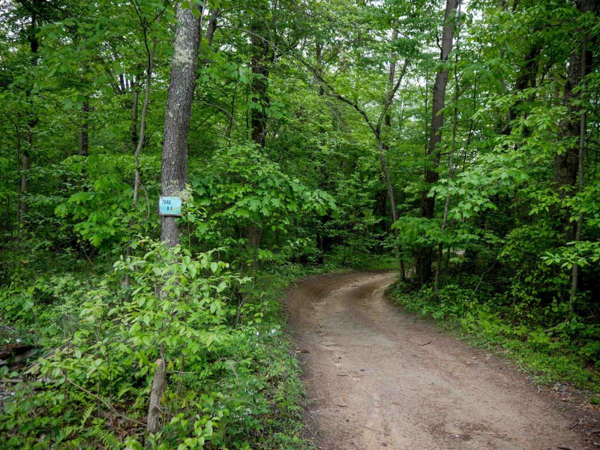 Trail 4 trail photo