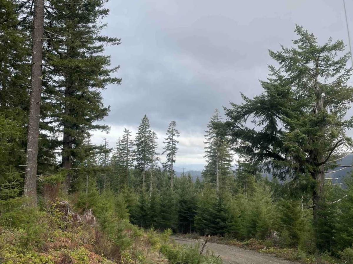 Fire Road 2 trail photo